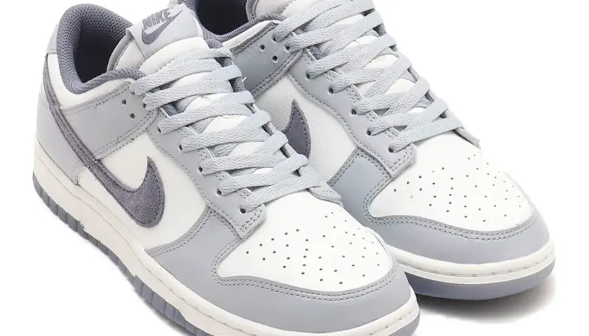 Nike Dunk Low Retro SE Platinum - Komfort i styl w jednym modelu